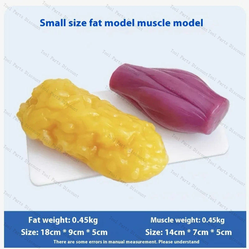 نماذج عضلات بشرية لفقدان الوزن - مراجعة Nutrition Fitness Center وسعره